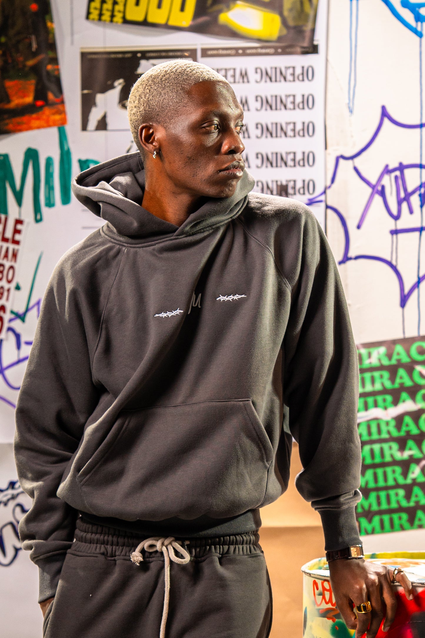 V1 Hoodie Raglan